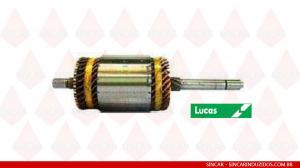 Induzido Sincar 605192